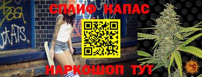 индика Лесосибирск