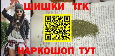 индика Лесосибирск