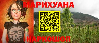 индика Лесосибирск