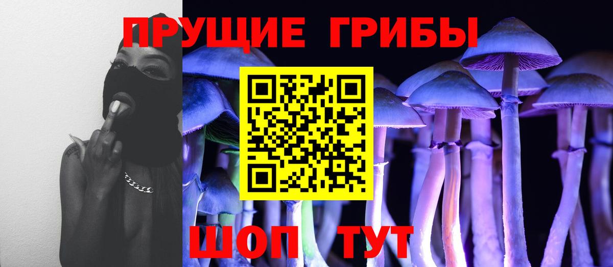 Калач-на-Дону  Псилоцибиновые грибы Magic Shrooms  Вход с VPN 